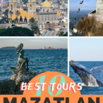 Best Mazatlan Tours