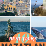 Best Mazatlan Tours