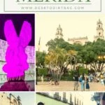 10 Best Things to Do in Merida Mexico travel, mexico, central-america