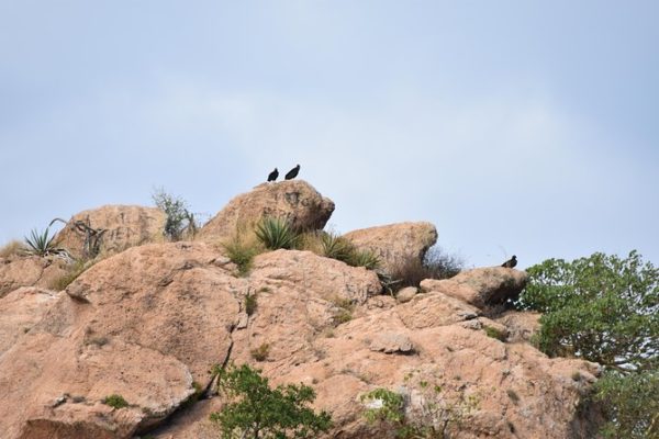 best Mazatlan tours island expedition
