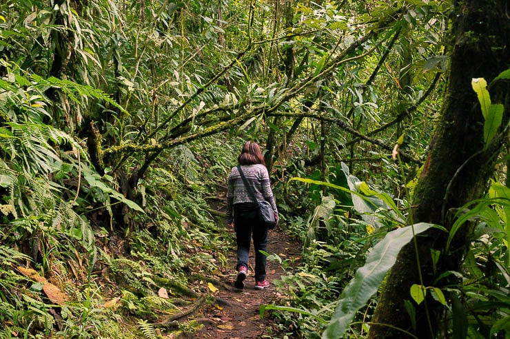 Biodiversity is one reason to visit Colombia