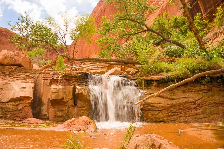 Your Guide to an Incredible Utah National Park Road Trip utah, travel, road-trip