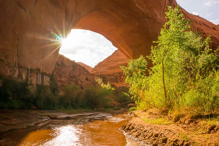 Your Guide to an Incredible Utah National Park Road Trip utah, travel, road-trip