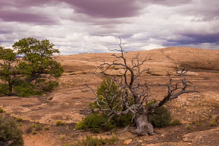 Your Guide to an Incredible Utah National Park Road Trip utah, travel, road-trip