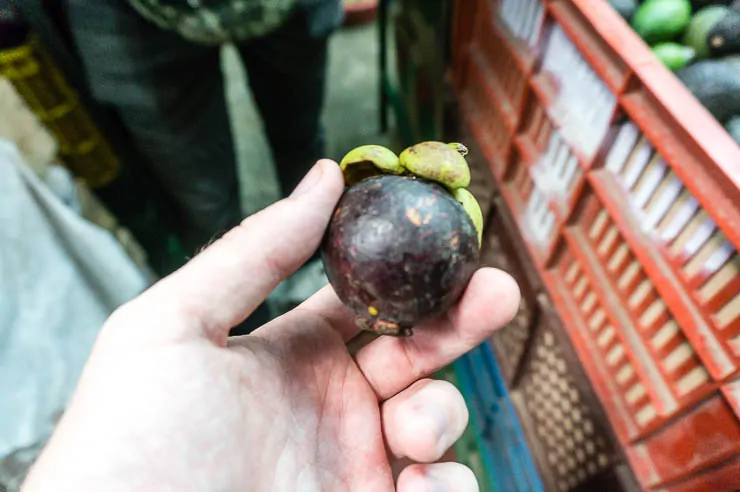 A Tour of Deliciously Exotic Colombian Fruits travel, south-america, colombia