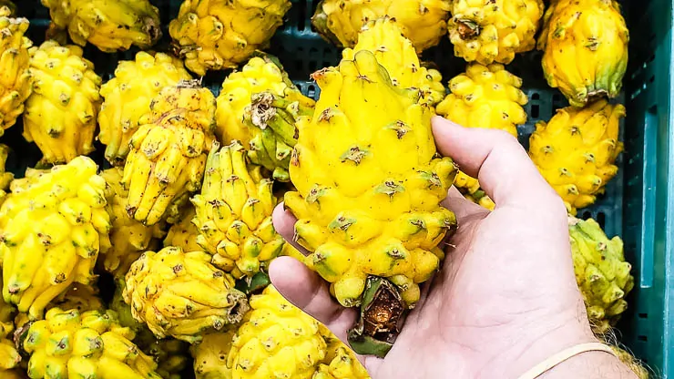 A Tour of Deliciously Exotic Colombian Fruits travel, south-america, colombia