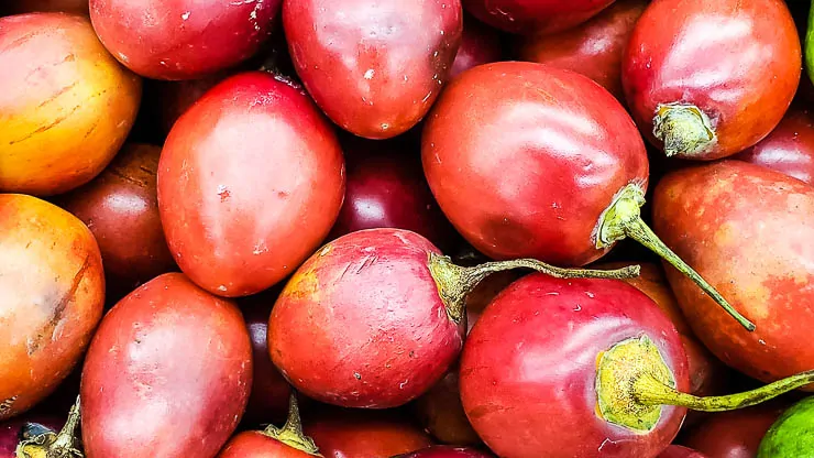 A Tour of Deliciously Exotic Colombian Fruits travel, south-america, colombia