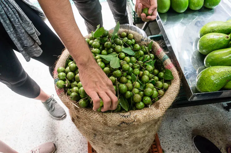 A Tour of Deliciously Exotic Colombian Fruits travel, south-america, colombia