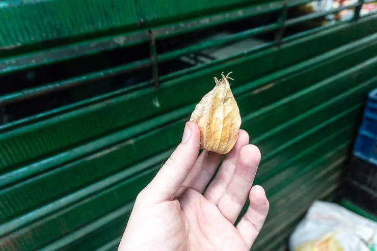 A Tour of Deliciously Exotic Colombian Fruits travel, south-america, colombia