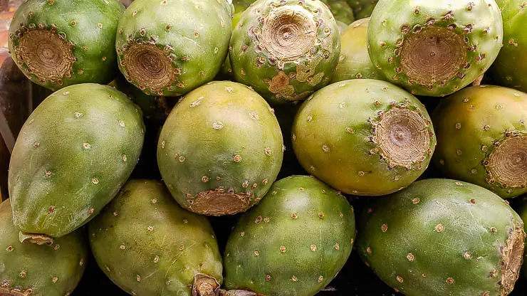 A Tour of Deliciously Exotic Colombian Fruits travel, south-america, colombia