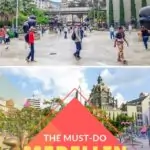 The Must-Do Medellin Free Walking Tour (What You Need to Know)