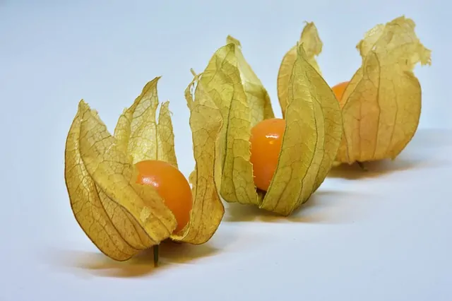 A Tour of Deliciously Exotic Colombian Fruits travel, south-america, colombia