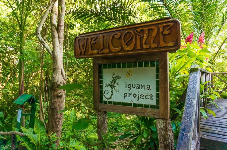 The 15 Best Places to Visit in Belize travel, central-america