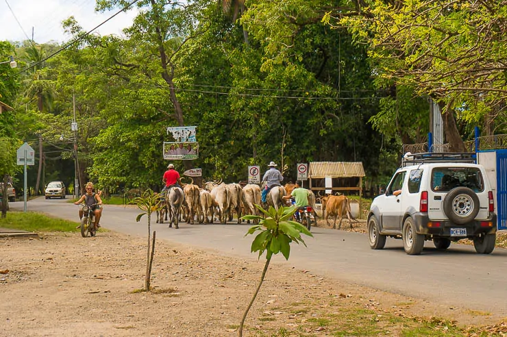 22 Incredible Places to Visit in Costa Rica travel, central-america