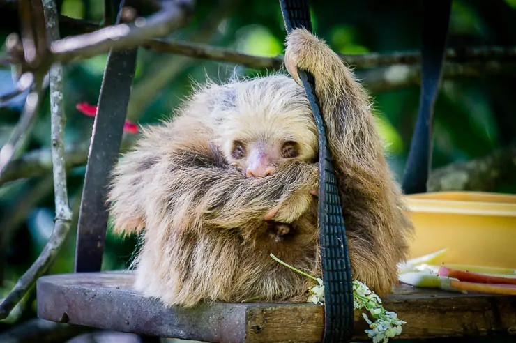 22 Incredible Places to Visit in Costa Rica travel, central-america