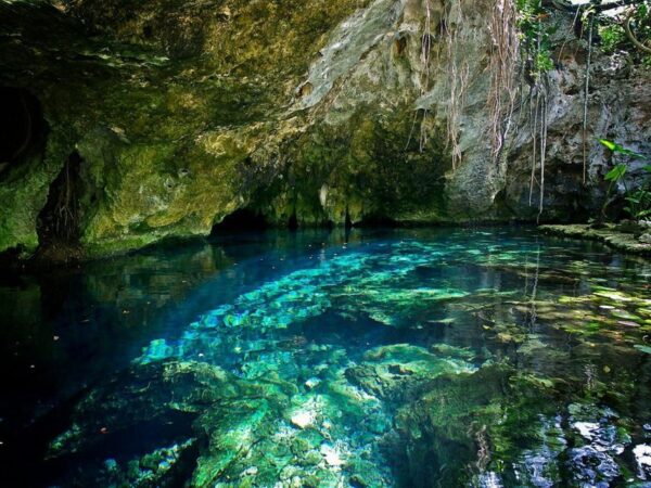 best cenotes el gran cenote