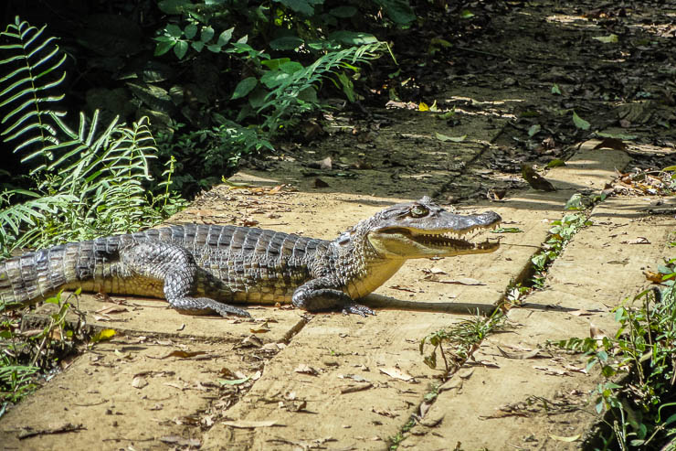 Los mejores lugares para visitar en Panamá espanol-es