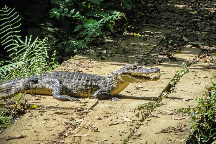 The Best Places to Visit in Panama travel, central-america