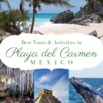 playa del carmen tours