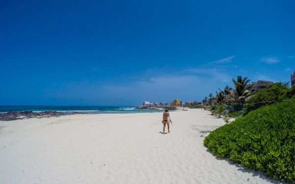 playa del carmen tours isla mujeres