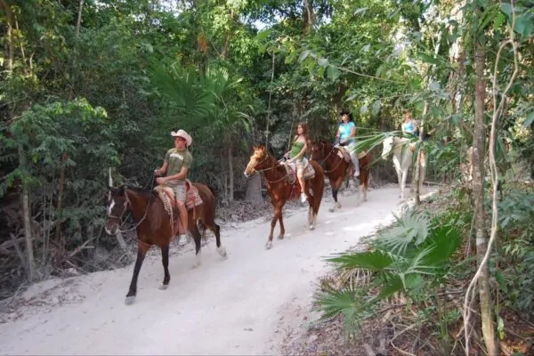 playa del carmen tours zip lining horseback riding