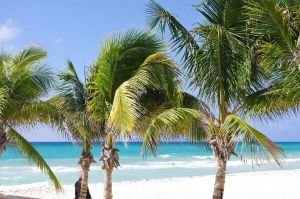 playa del carmen tours