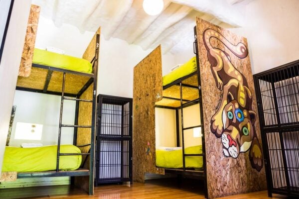 best cusco peru hostels Milhouse Hostel Cusco