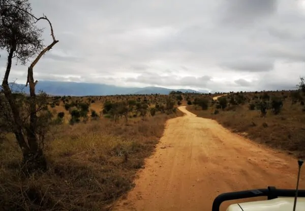 Volunteering Abroad Kenya