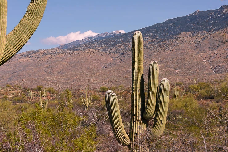 A Few of the Most Underrated National Parks in the United States travel, north-america