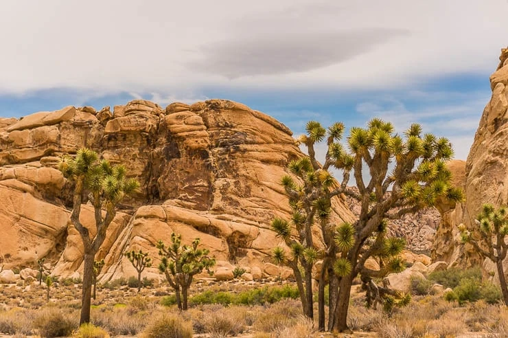 The Best Road Trips from Las Vegas, Nevada travel, road-trip, nevada