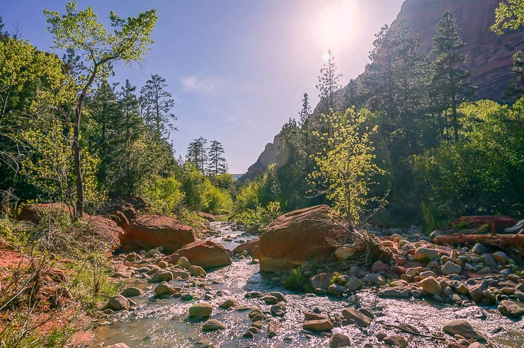 The gorgeous and wild La Verkin Creek in the Kolob Canyon section of Zion National Park