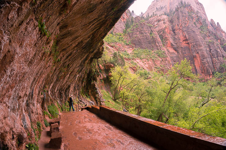 A Guide to the Best Zion National Park Hikes utah, travel, north-america