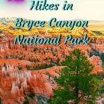 12 Awesome Hikes in Bryce Canyon National Park utah, travel, outdoors