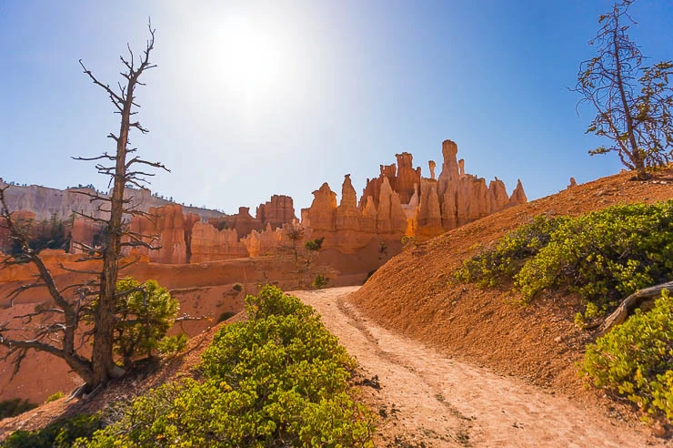 12 Awesome Hikes in Bryce Canyon National Park utah, travel, outdoors