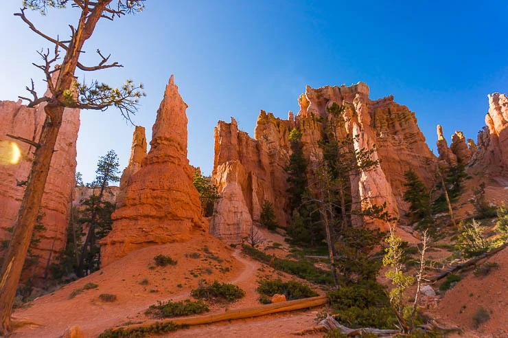 12 Awesome Hikes in Bryce Canyon National Park utah, travel, outdoors