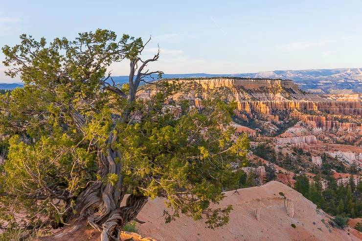 12 Awesome Hikes in Bryce Canyon National Park utah, travel, outdoors