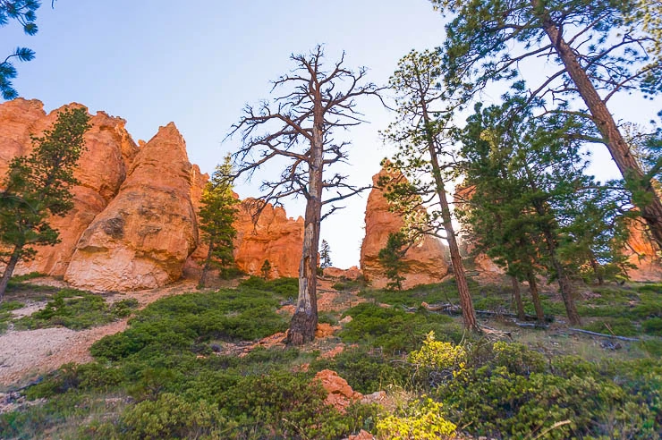 12 Awesome Hikes in Bryce Canyon National Park utah, travel, outdoors