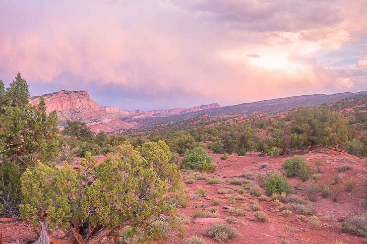 A Guide to the Best Capitol Reef National Park Hikes utah, travel, outdoors