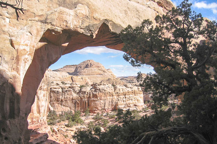 Scenic shot of Hickman Bridge in Capitol Reef National Park