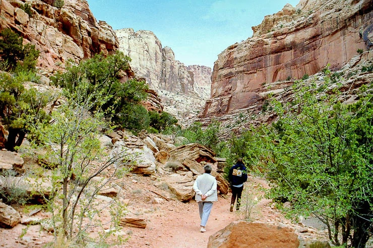 A Guide to the Best Capitol Reef National Park Hikes utah, travel, outdoors