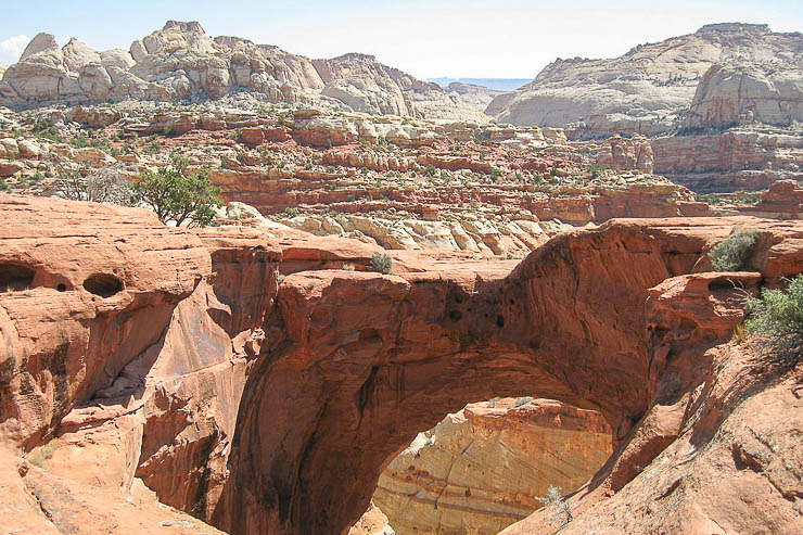 View of Cassidy Arch one of Capitol Reef National Park's best hikes