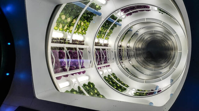 Space 220 Restaurant: Out-of-This-World Dining at Disney's EPCOT travel, north-america, florida