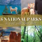 8 Best National Parks to Visit With Your Dog travel, north-america