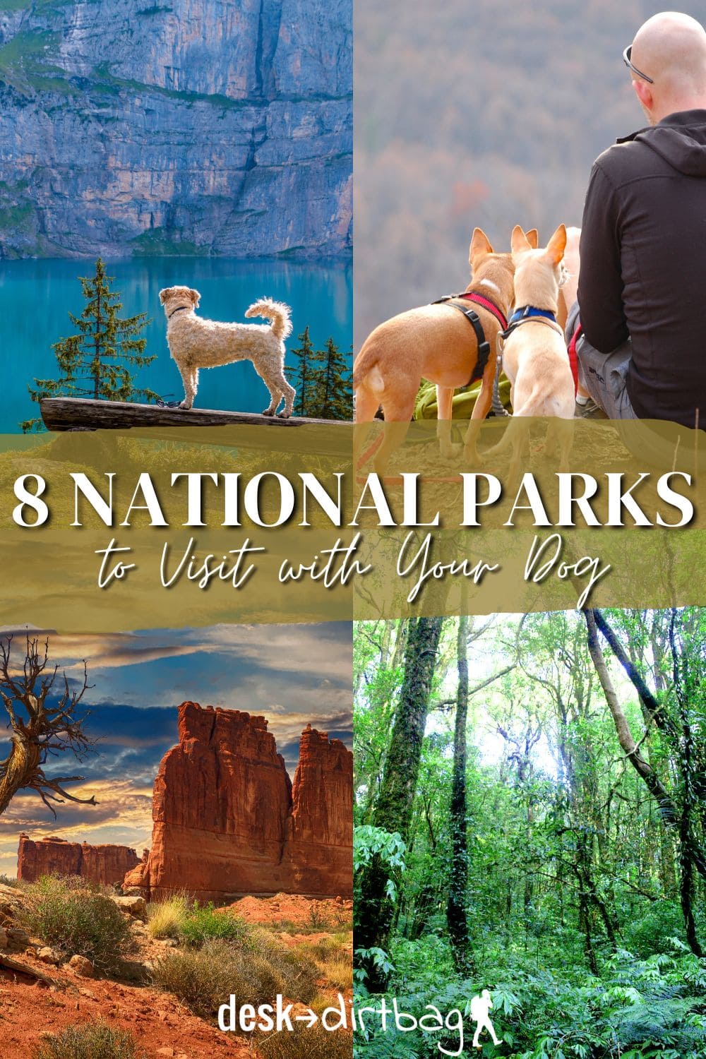 8 Best National Parks to Visit With Your Dog travel, north-america