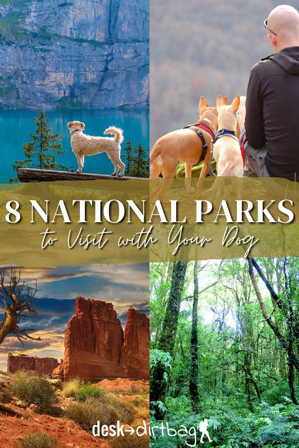 8 Best National Parks to Visit With Your Dog travel, north-america